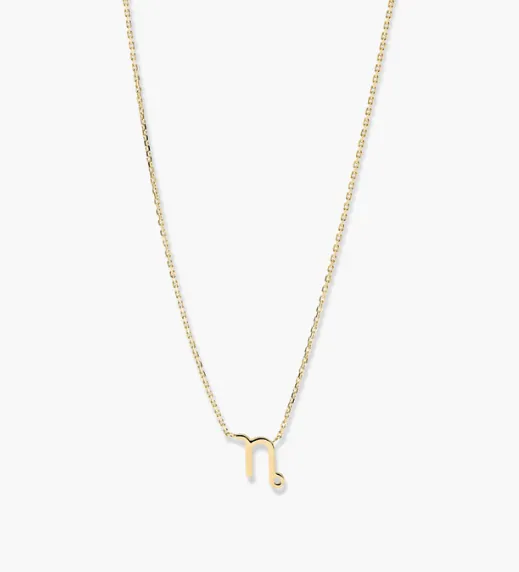 Mejuri Scorpio Zodiac Necklace